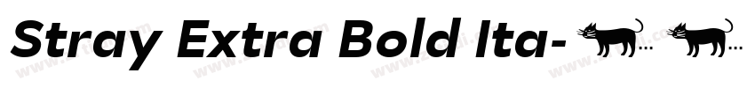 Stray Extra Bold Ita字体转换